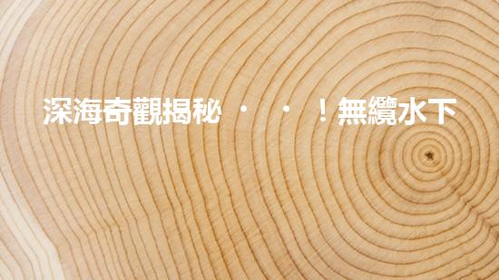 深海奇觀揭秘！無纜水下深潛機(jī)器人探索神秘海底世界，究竟隱藏著什么驚人發(fā)現(xiàn)？